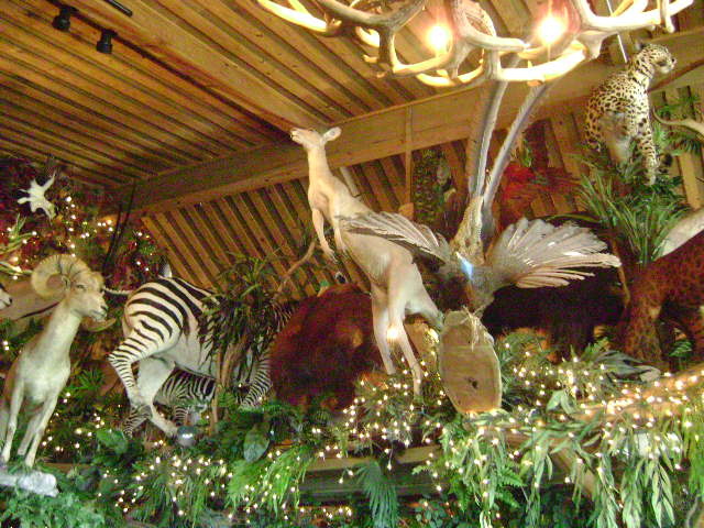 Clark's 4-20-08 021.jpg